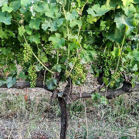 Agriturismo I Debbi بيبونا المظهر الخارجي الصورة