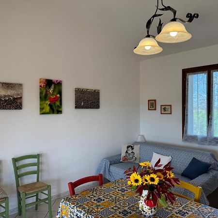 Agriturismo I Debbi بيبونا المظهر الخارجي الصورة