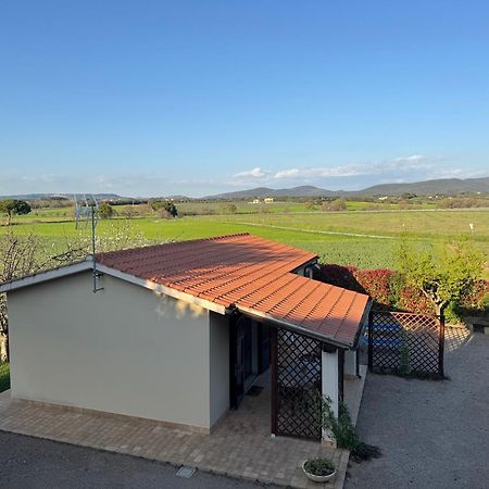 Agriturismo I Debbi بيبونا المظهر الخارجي الصورة