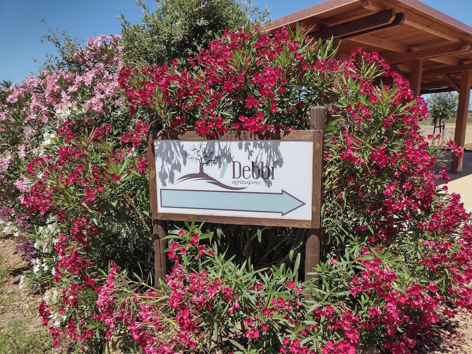 Agriturismo I Debbi بيبونا المظهر الخارجي الصورة
