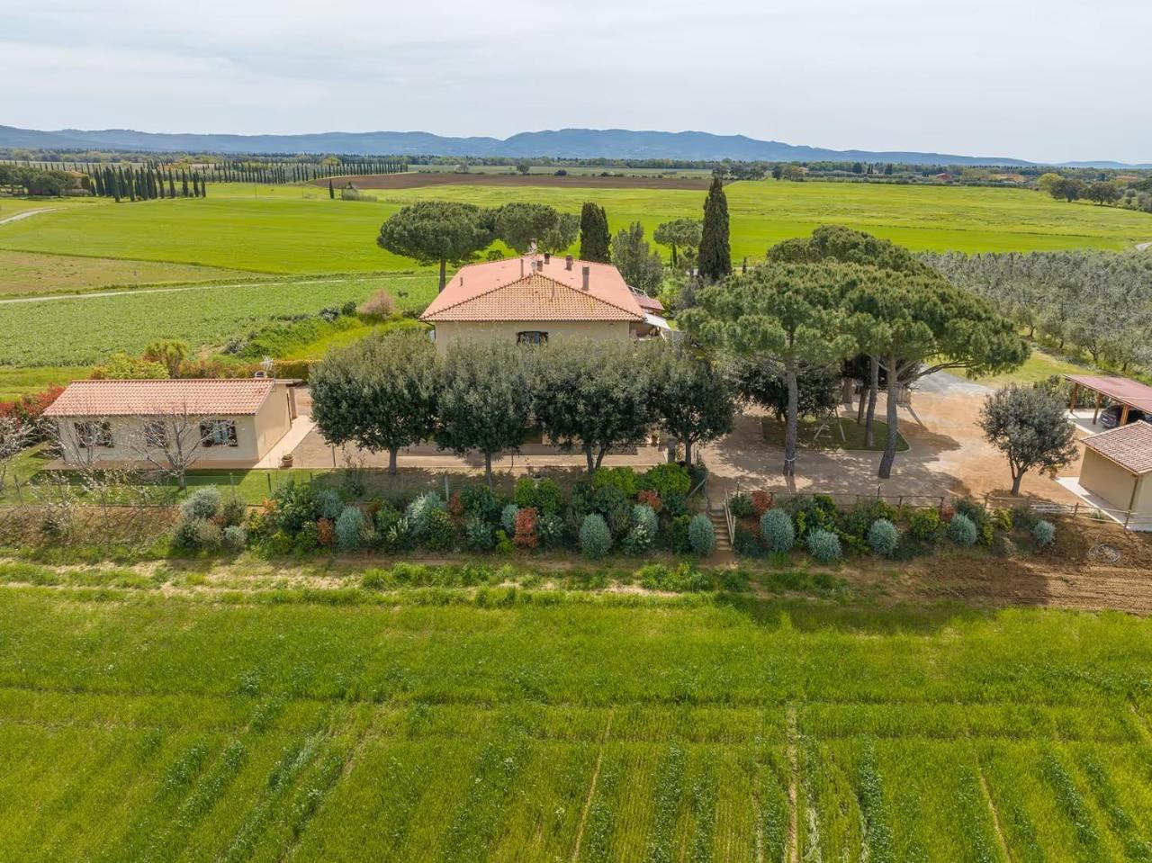 Agriturismo I Debbi بيبونا المظهر الخارجي الصورة