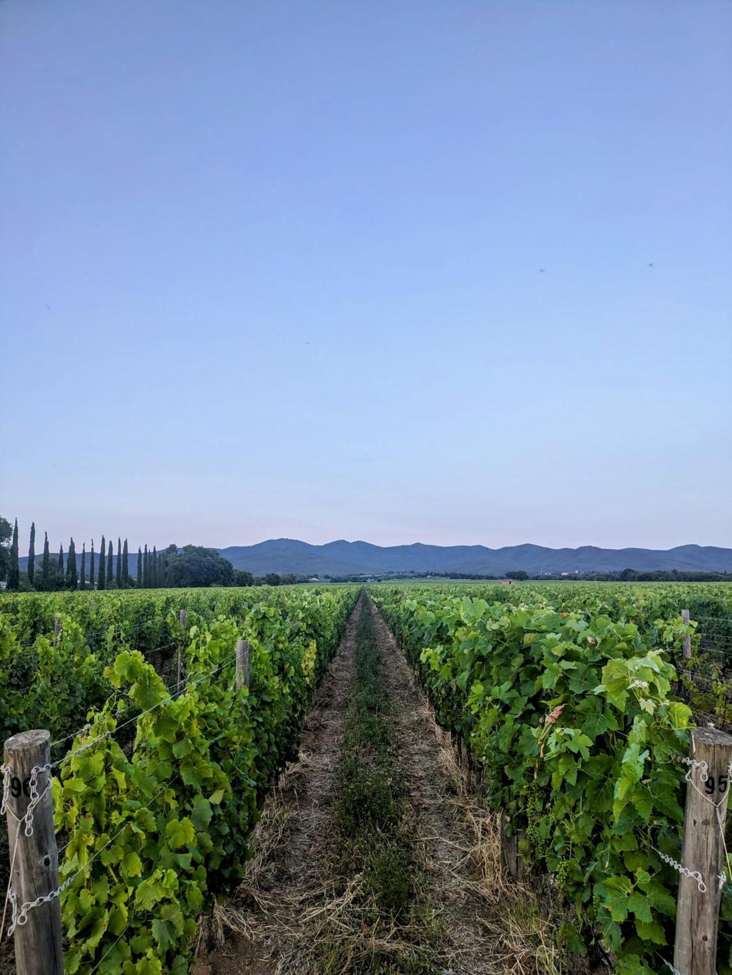 Agriturismo I Debbi بيبونا المظهر الخارجي الصورة